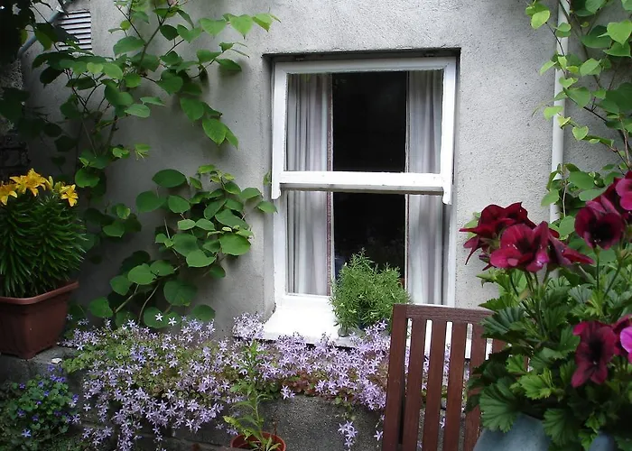 Harrington House Hostel Dublin